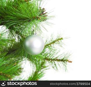 christmas ball and fir tree
