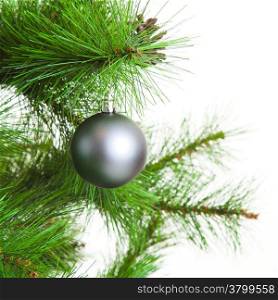 christmas ball and fir tree