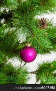 Christmas ball hanging on pine branches. christmas tree decoration