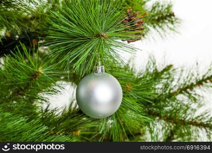 Christmas ball hanging on pine branches. christmas tree decoration
