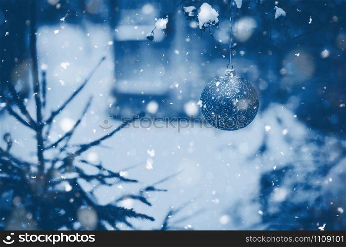 Christmas ball on a tree branch in a snowy garden. Color of the year 2020 classic blue monochrome toned