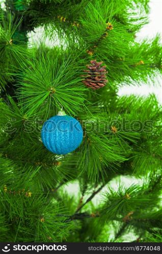 Christmas ball on fir branches