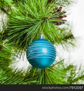 Christmas ball on fir branches. xmas decoration