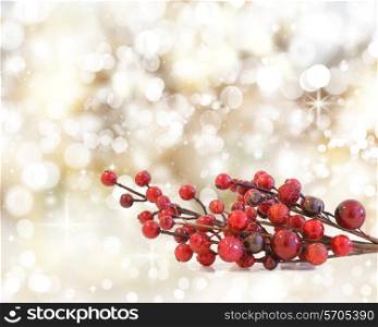 Christmas berries on a background of bokeh lights and stars
