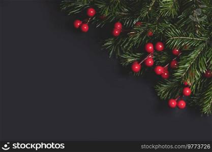 Christmas border arranged with fresh fir branches and red berries on black paper background , copy space for text. Christmas fir branches and berries