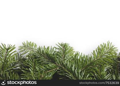 Christmas border arranged with fresh fir branches isolated on white background , copy space for text. Christmas border of fir branches