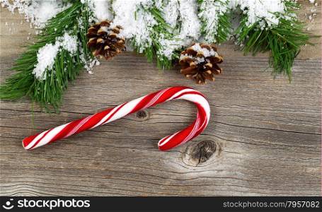 Christmas border with snow covered pine tree branches, cones and a single large candy cane on rustic wooden boards.