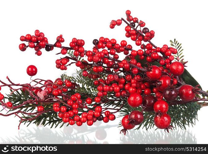 Christmas branch with red fruits isolated on a white background