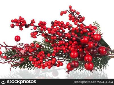 Christmas branch with red fruits isolated on a white background