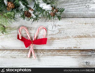 Christmas candy canes and bow with rough fir tree branches on rustic white wooden background
