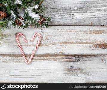 Christmas candy canes forming heart shape with rough fir tree branches on rustic white wooden background