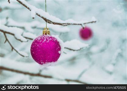 Christmas card- pink Christmas balls on a tree branch in the snow