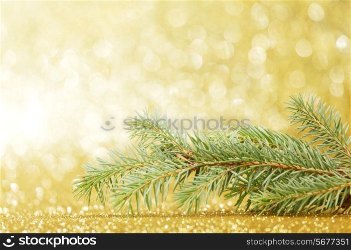 Christmas card with natural green fir branchon glitter background