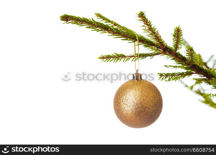 Christmas celebration holiday background with copyspace - Christmas-tree decoration bauble on decorated Christmas tree branch isolated on white background. Decoration bauble on decorated Christmas tree iso