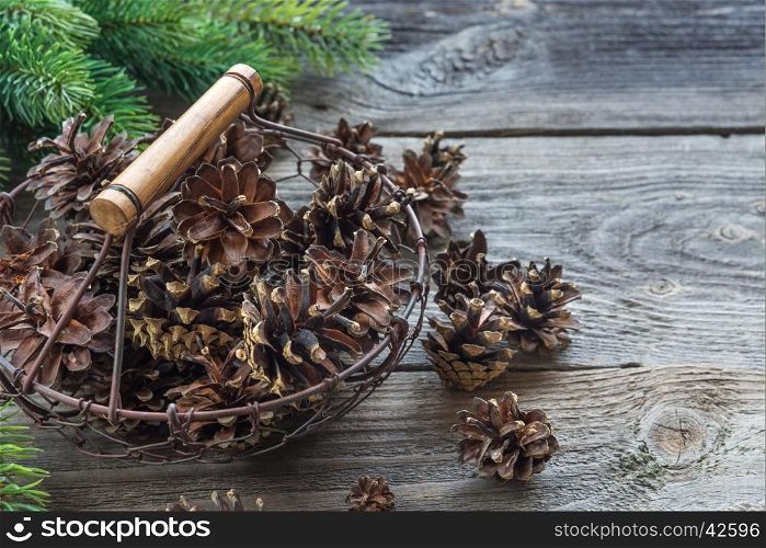 Christmas concept: full basket of pine cones and spruce branches on the background of old unpainted wooden boards. Christmas wallpaper