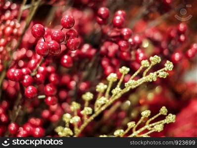 Christmas decoration ilex verticillata or winterberry holly