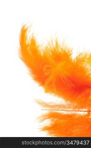 Christmas decoration - orange quill isolated on a white background