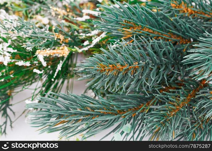 Christmas decoration with fir-tree branch.
