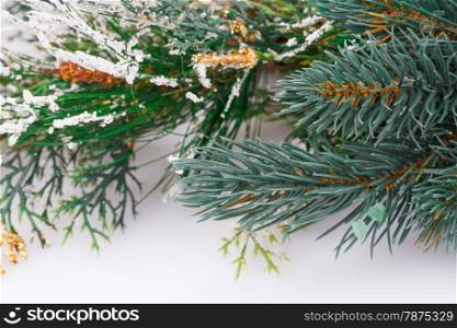 Christmas decoration with fir-tree branch.