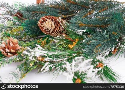 Christmas decoration with fir-tree branch and cones.