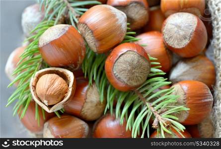 Christmas decoration with hazelnuts and pine tree twigs