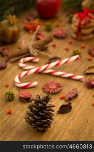 Christmas decoration with sweet. Candy canes and cookies