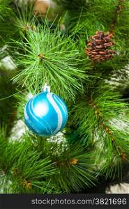 Christmas Decorations. Christmas tree branch with a blue ball