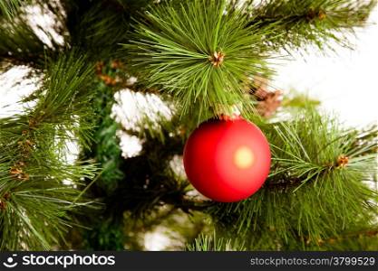 christmas decorations hanging on christmas tree
