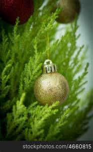 Christmas decorations in a small fir tree