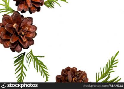 Christmas decorative composition of cones and fir twigs on a white background. Place for your text.
