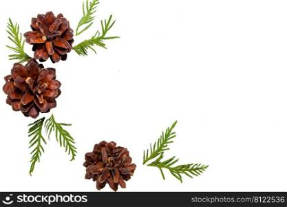 Christmas decorative composition of cones and fir twigs on a white background. Place for your text.