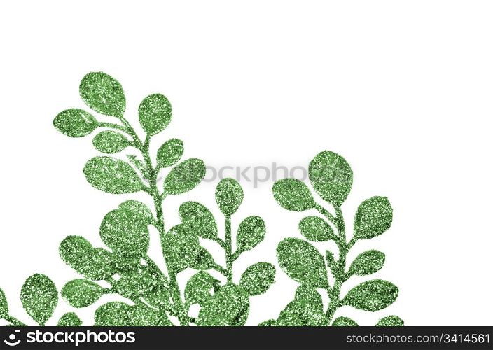 Christmas decorative green leaves isolated on white background.