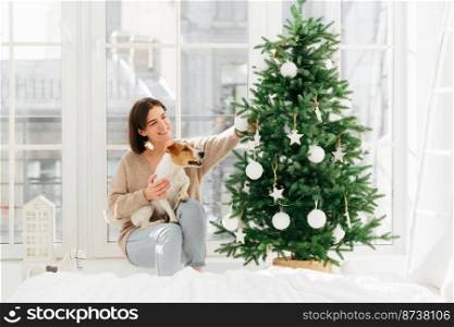Christmas festival. Lovely happy woman holds pedigree dog on hands, decorates New Year tree, holds white bauble, smiles gently, poses in cozy bedroom against window. Winter holidays, day before xmas