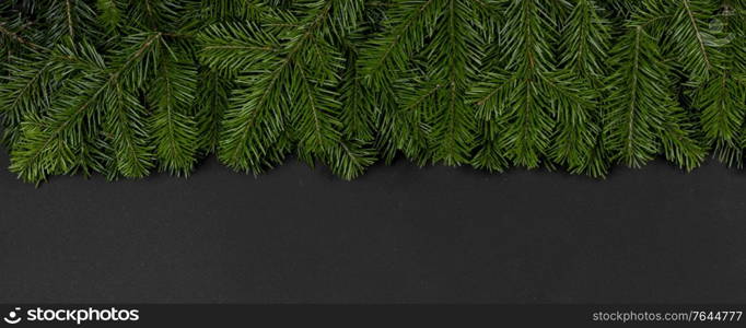 Christmas fir tree branch border fame on black paper stylish background with copy space for text. Christmas fir tree on black background