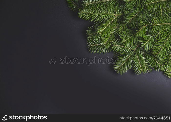 Christmas fir tree branch corner border fame on black paper stylish background with copy space for text. Christmas fir tree on black background