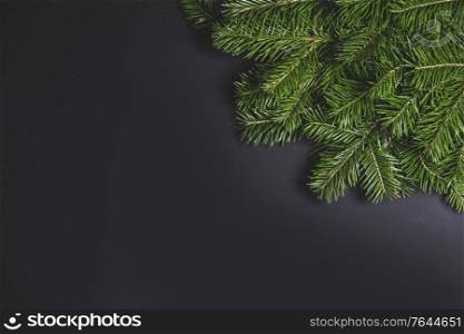Christmas fir tree branch corner border fame on black paper stylish background with copy space for text. Christmas fir tree on black background