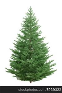 Christmas fir tree isolated over white 3d rendering