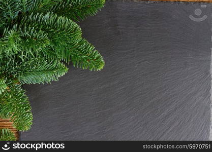 christmas fresh evergreen tree branches. christmas fresh evergreen fir tree branches on black background