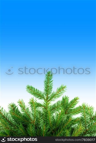 Christmas green framework isolated on blue background