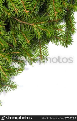 Christmas green framework isolated on white background
