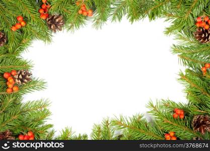 Christmas green framework with cones and holly berry isolated on white background
