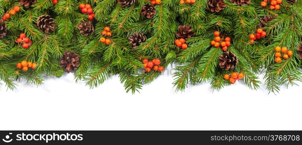 Christmas green framework with cones and holly berry isolated on white background