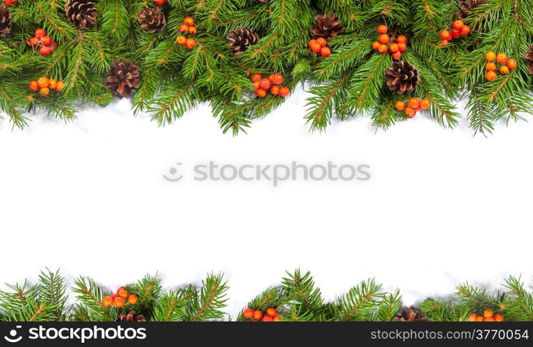 Christmas green framework with cones and holly berry isolated on white background