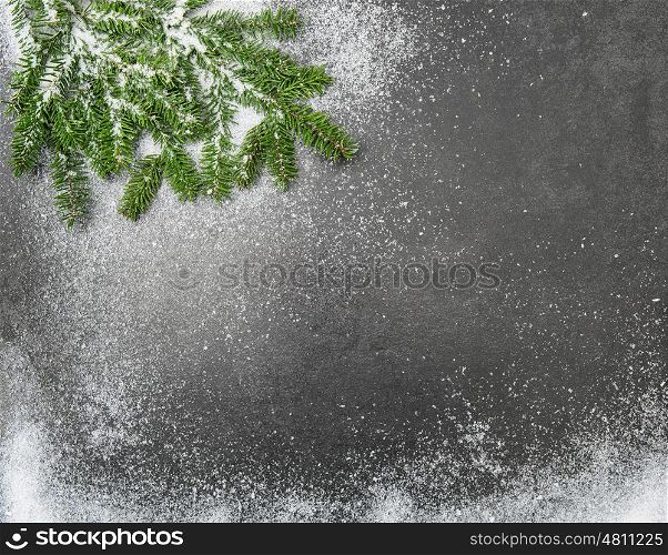 Christmas holidays background. Pine branches in snow