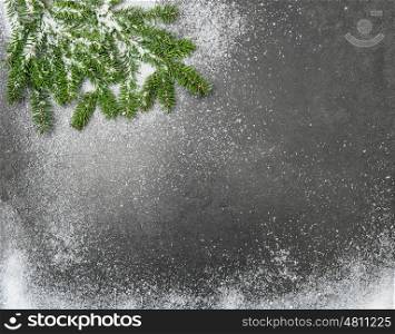 Christmas holidays background. Pine branches in snow
