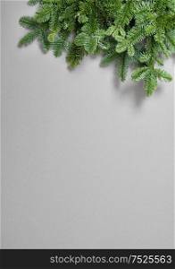 Christmas holidays background. Pine tree branches on grey. Copy space