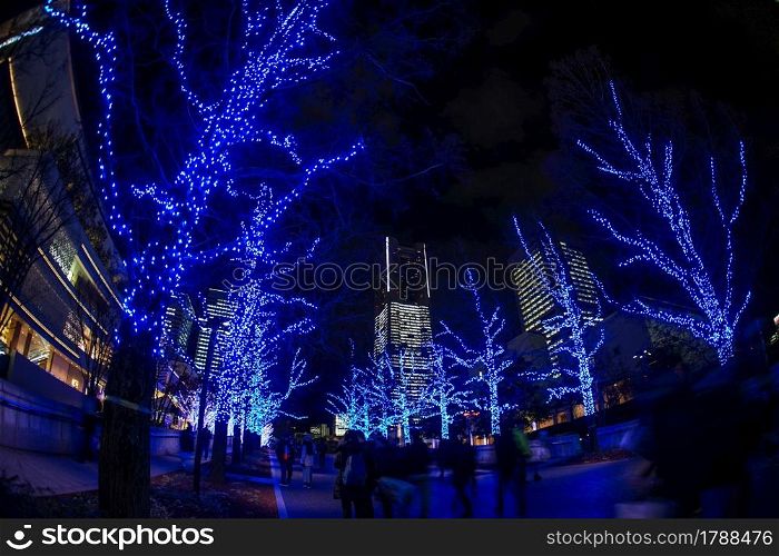 Christmas illuminations (Minato Mirai, Yokohama). Shooting Location: Yokohama-city kanagawa prefecture