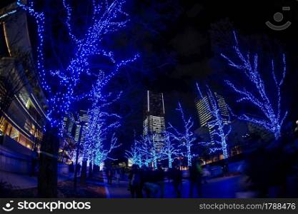 Christmas illuminations (Minato Mirai, Yokohama). Shooting Location: Yokohama-city kanagawa prefecture