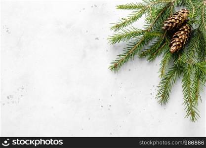 Christmas, Noel or New Year background with xmas fir tree