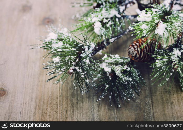 Christmas pine tree branch on wooden background